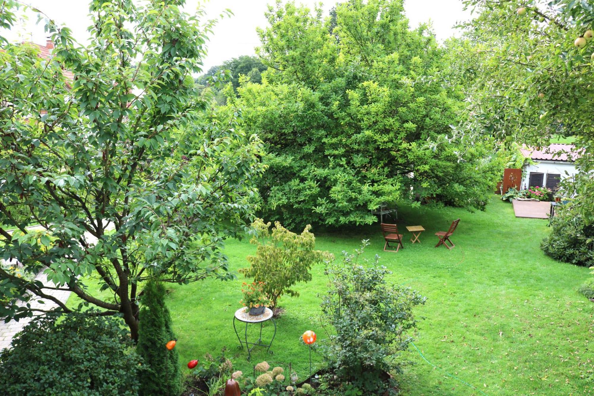 Ferienwohnung Bliestalglueck Oberthal 外观 照片