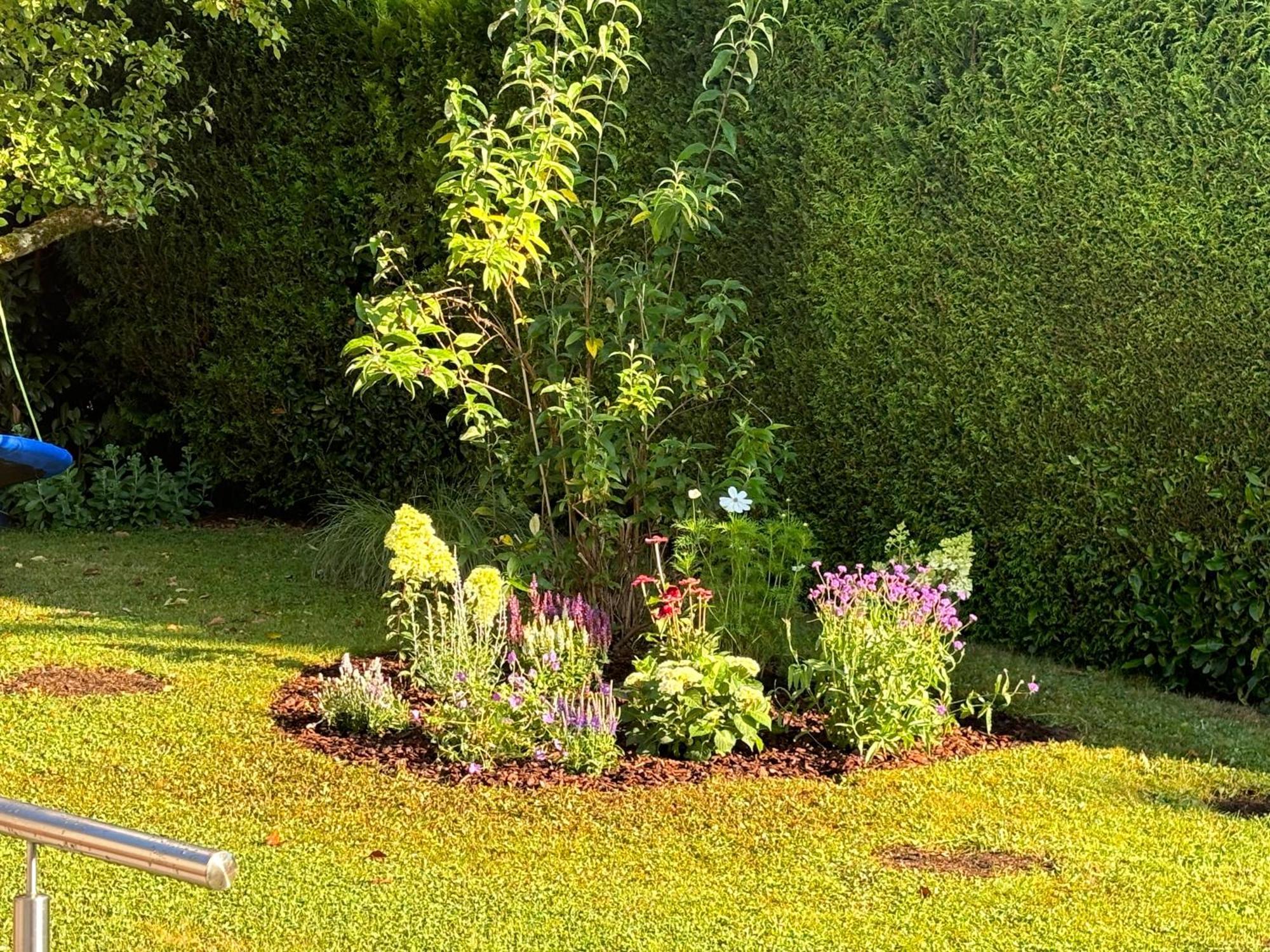 Ferienwohnung Bliestalglueck Oberthal 外观 照片